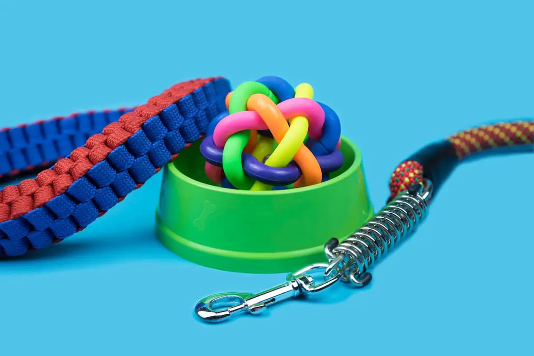 Must-Have Supplies for New Pet Owners