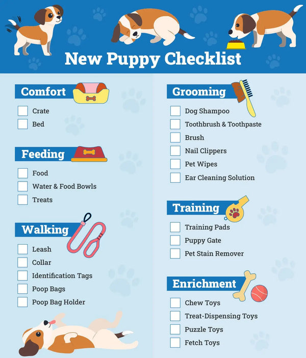 New Pet Checklist: Everything You Need in the First Week