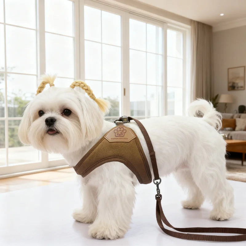 Pet dog walking harness and leash, suitable for puppies, small to medium dogs, ideal choice for training, travel, and daily wear