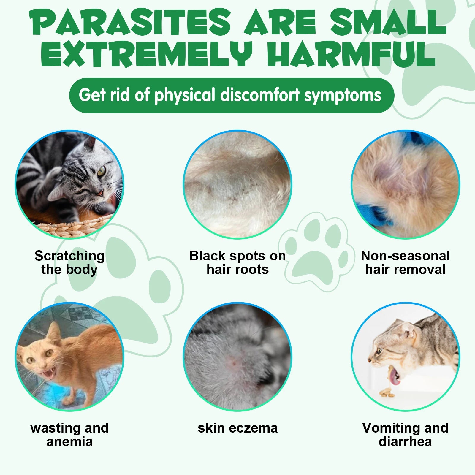 Cats Natural Broad Spectrum Treatment in Liquid Form for Tapeworm Whipworm Roundworm Hookworm Prevention Medication Supplements