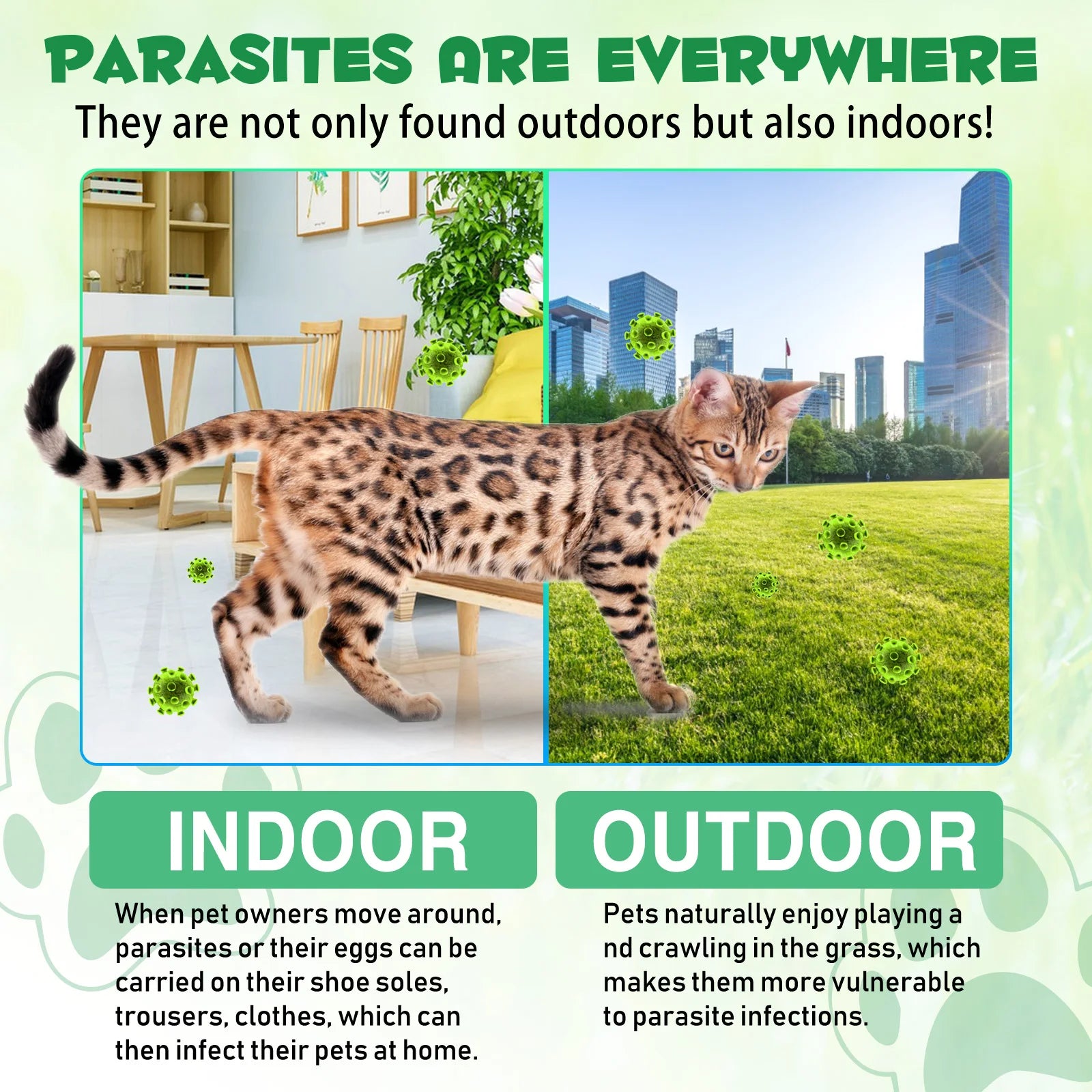 Cats Natural Broad Spectrum Treatment in Liquid Form for Tapeworm Whipworm Roundworm Hookworm Prevention Medication Supplements