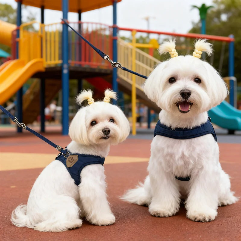 Pet dog walking harness and leash, suitable for puppies, small to medium dogs, ideal choice for training, travel, and daily wear