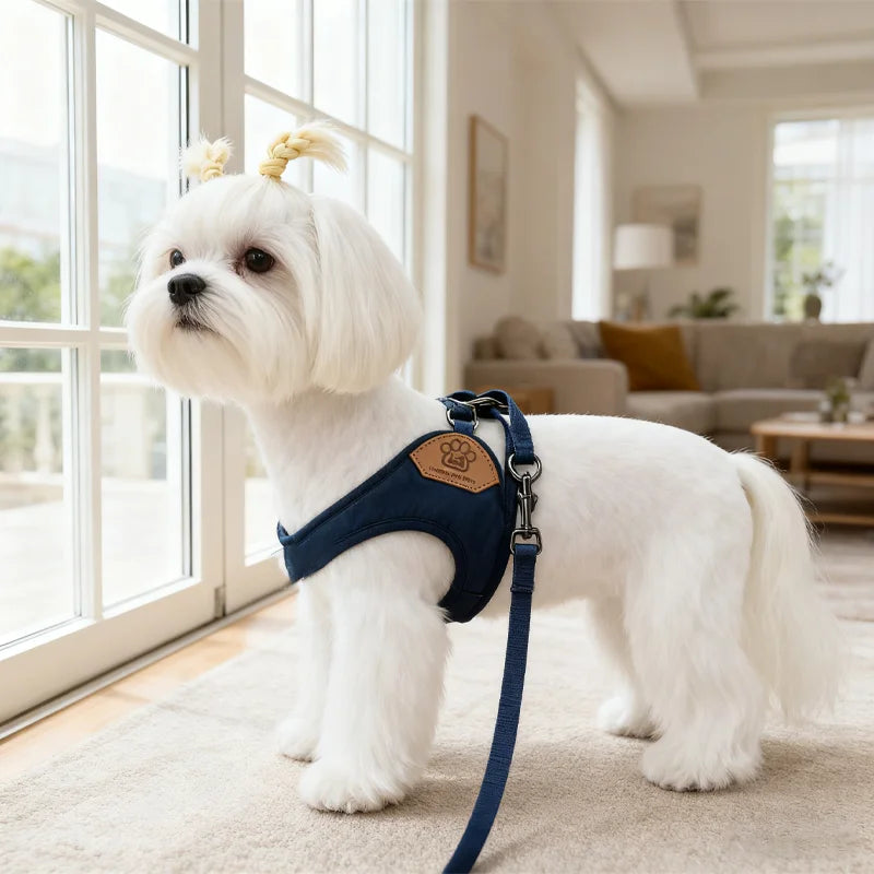 Pet dog walking harness and leash, suitable for puppies, small to medium dogs, ideal choice for training, travel, and daily wear