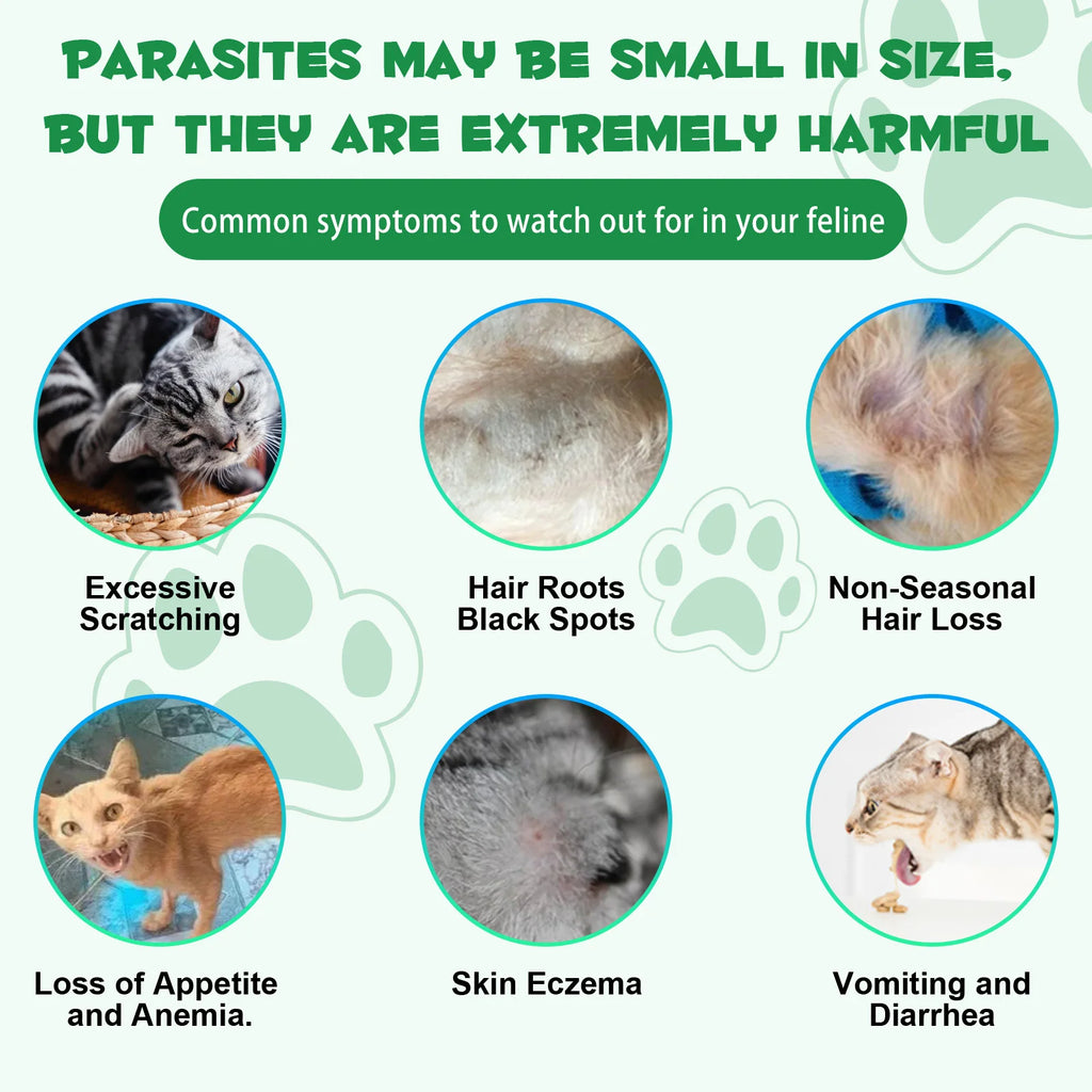 Cats Natural Broad Spectrum Treatment in Liquid Form for Tapeworm Whipworm Roundworm Hookworm Prevention Medication Supplements