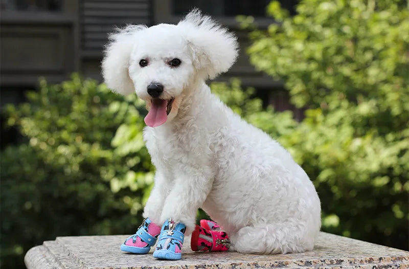 Breathable Mesh Dog Shoes Summer Small Dog Shoes Anti-Slip Pet Dog Sport Boots for Teddy Chihuahua