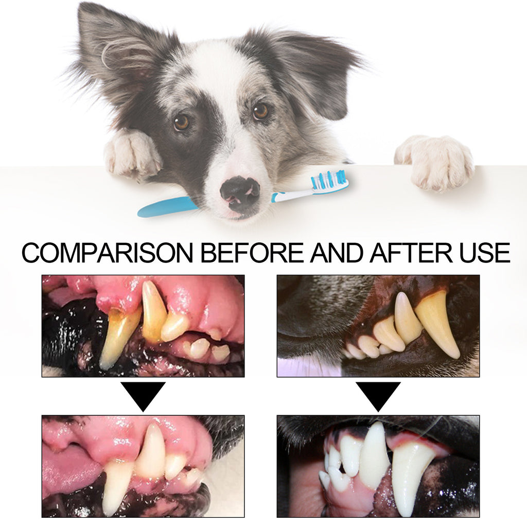 Pet Toothpaste For Cat Dog Fresh Breath Deep Cleaning Removing Stain Oral Plaque Prevent Teeth Calculus Cats Edible Toothpaste