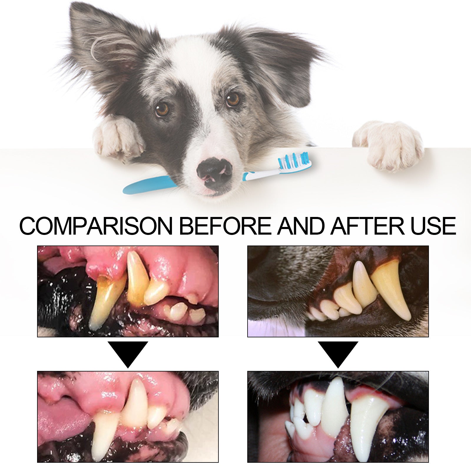 Pet Toothpaste For Cat Dog Fresh Breath Deep Cleaning Removing Stain Oral Plaque Prevent Teeth Calculus Cats Edible Toothpaste