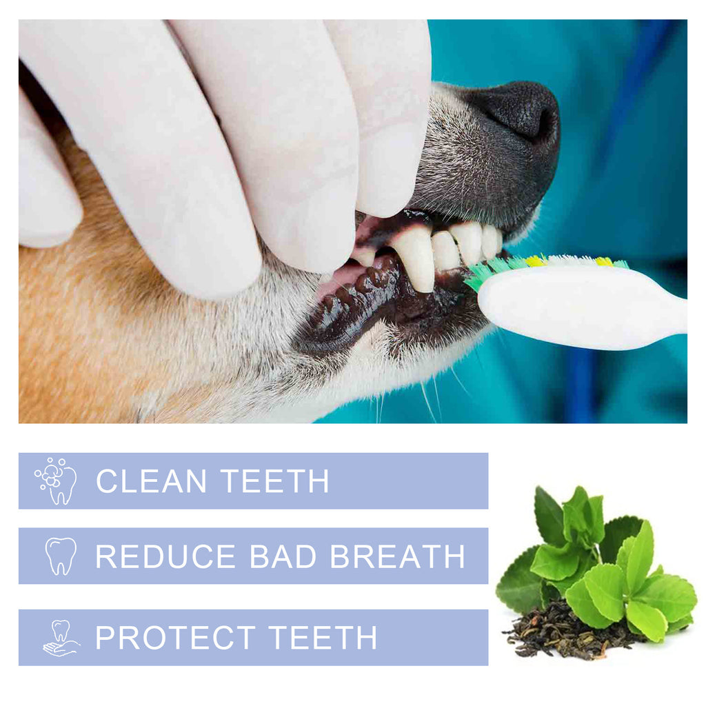 Pet Toothpaste For Cat Dog Fresh Breath Deep Cleaning Removing Stain Oral Plaque Prevent Teeth Calculus Cats Edible Toothpaste
