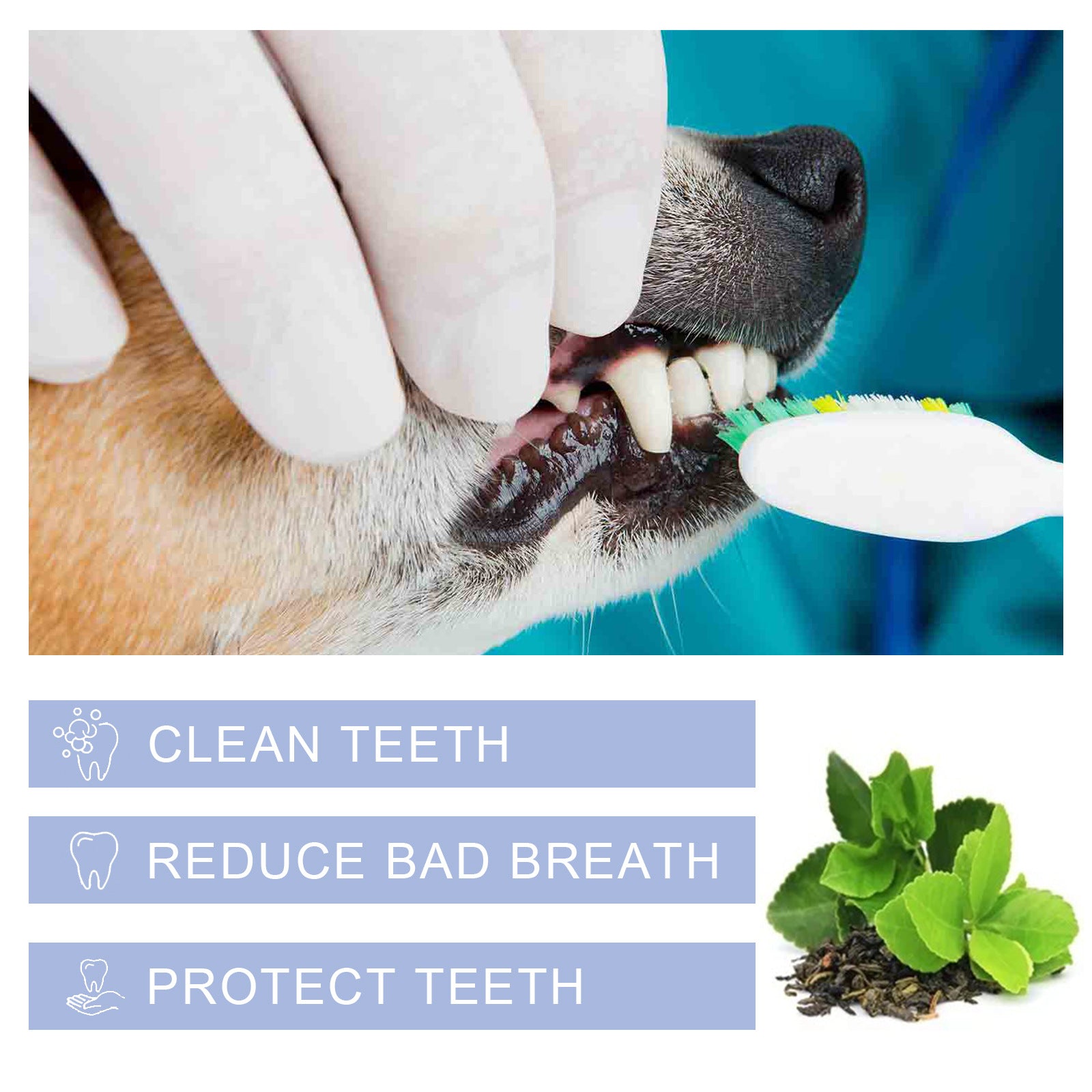 Pet Toothpaste For Cat Dog Fresh Breath Deep Cleaning Removing Stain Oral Plaque Prevent Teeth Calculus Cats Edible Toothpaste