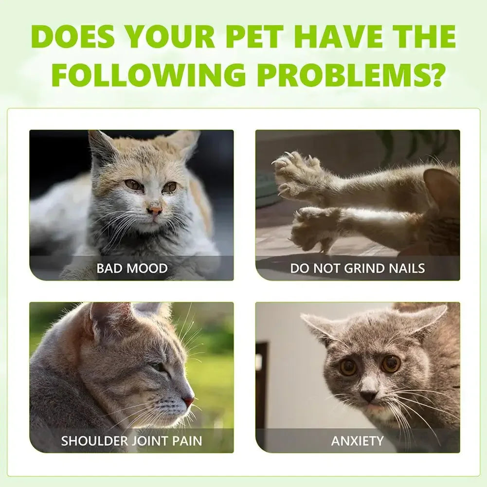 Cat Mint Calming Spray Anxiety Relief Increase Vitality Catnip Infused No Mess Pet Behavior Training Interactive Cat Toy for Cat