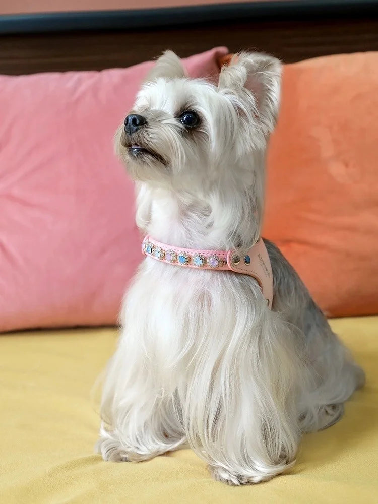 Arkika Dog Leash Small Dogs Chest Back Type Yorkie Teddy Pet out Walking Rope Non-Extensible Durable Pet Supplies