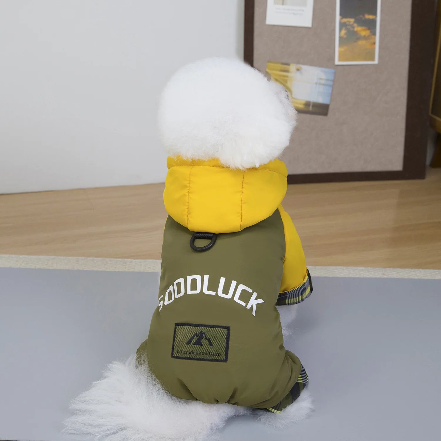 Dog clothes autumn and winter newclothing teddy pet clothes winterthickened 25 hooded three-color four-leg cotton-padded clothes