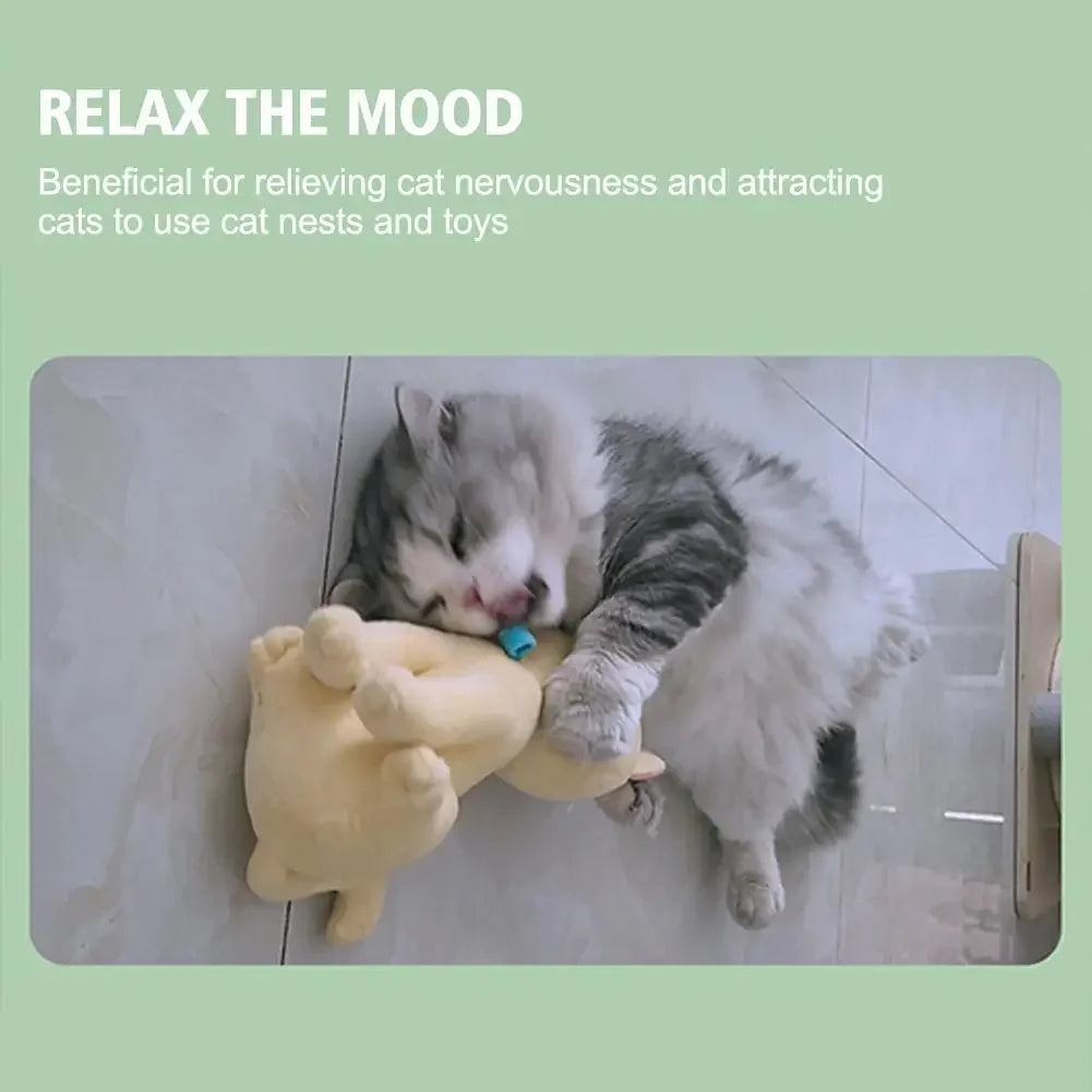 Cat Mint Calming Spray Anxiety Relief Increase Vitality Catnip Infused No Mess Pet Behavior Training Interactive Cat Toy for Cat