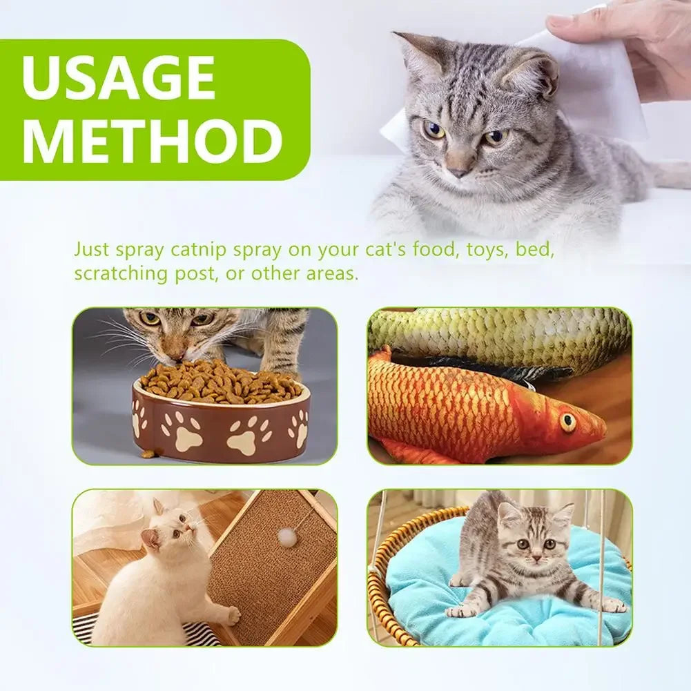 Cat Mint Calming Spray Anxiety Relief Increase Vitality Catnip Infused No Mess Pet Behavior Training Interactive Cat Toy for Cat