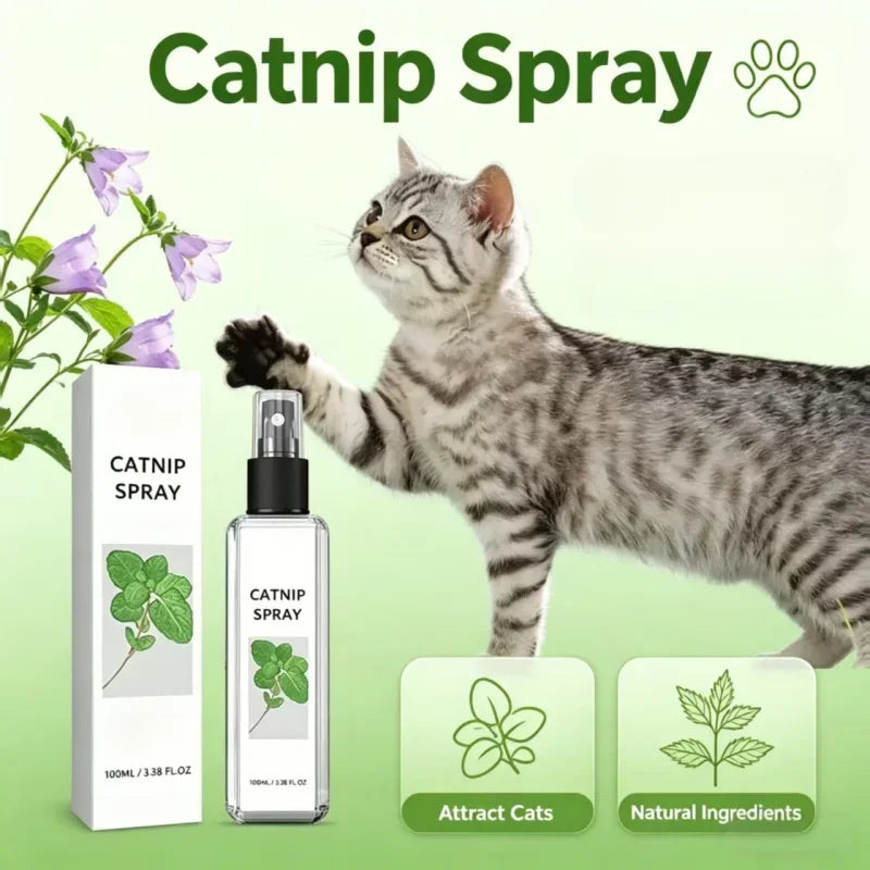 Cat Mint Calming Spray Anxiety Relief Increase Vitality Catnip Infused No Mess Pet Behavior Training Interactive Cat Toy for Cat