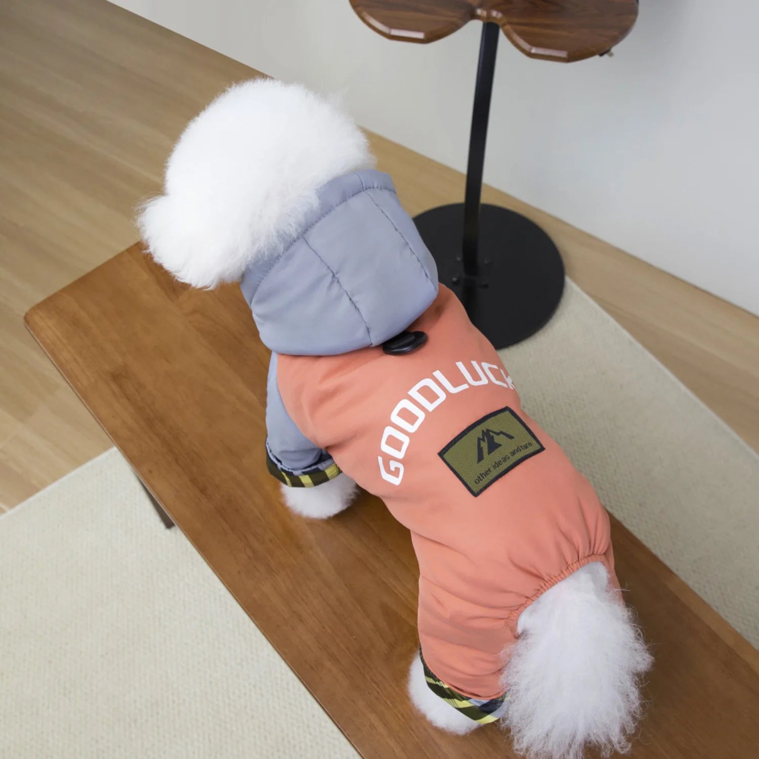 Dog clothes autumn and winter newclothing teddy pet clothes winterthickened 25 hooded three-color four-leg cotton-padded clothes