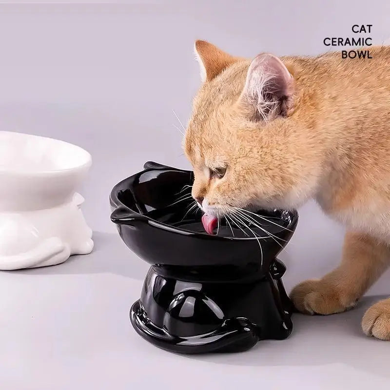 Anti-tipping Cat Food Bowl 15 Degree Tilted Tall-legged Design for Neck Comfort and Clean Floors in Living Spaces
