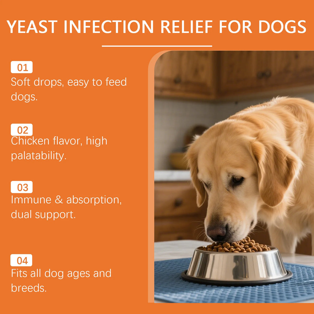 Dog Herbal Drops for Skin & Coat Health – Yeast Infection Relief, Itching & Redness Soother, Immune Support Supplement 60ml