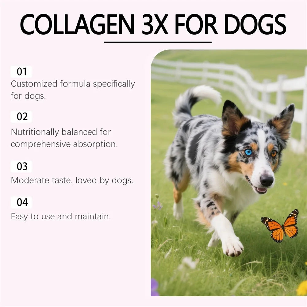 Dog Collagen Drops For Skin Coat Health Gentle Formulas, Easy Digestion Supports Joint & Gut Health Daily Well-Ness Routine