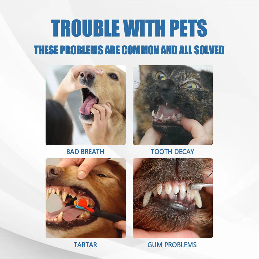 Dog Dental Care Foam Dog Oral Breath Freshener Keep Dog Breath Fresh And Teeth Clean Supports Gum Health Dog Dental Care.