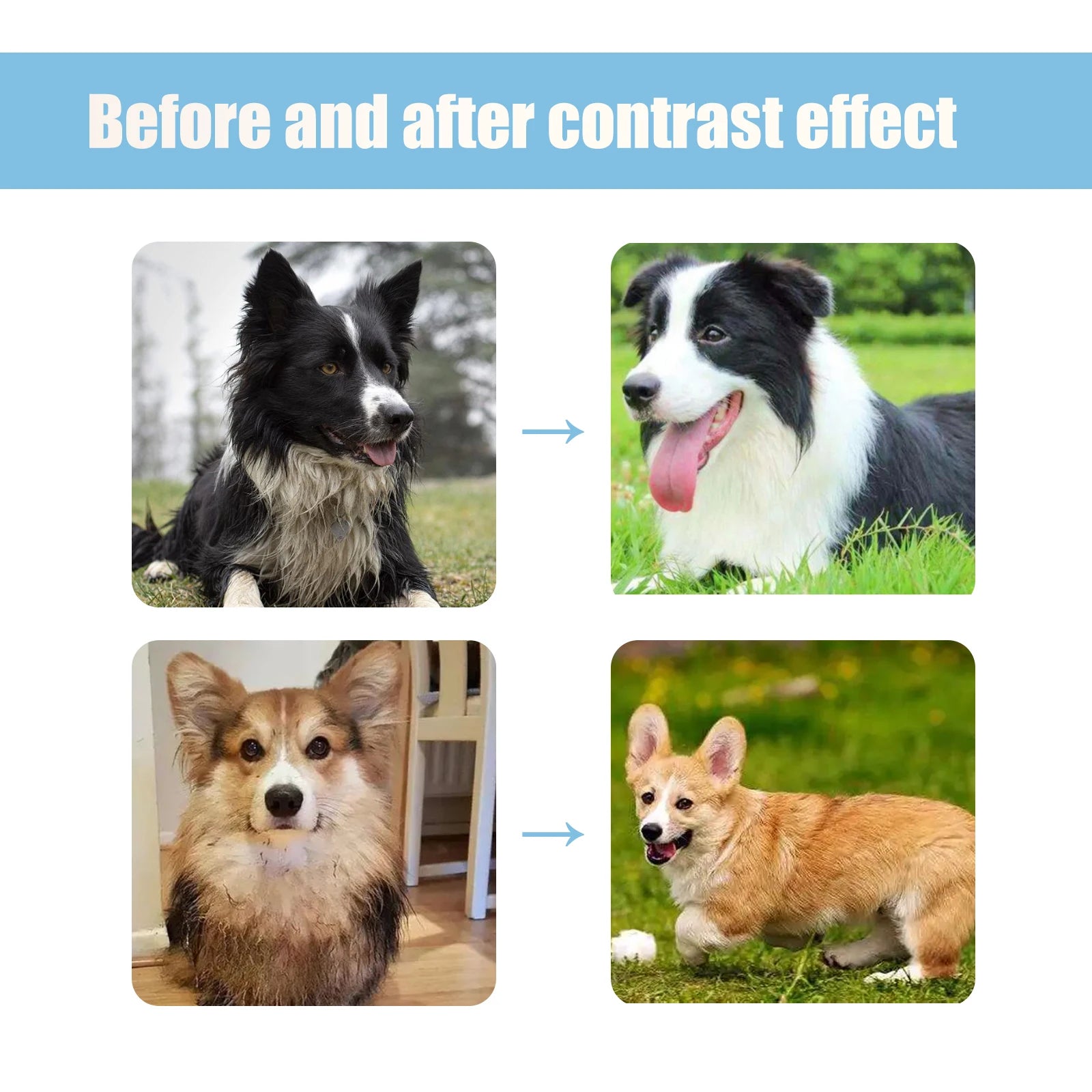 228ml PET Cleaning High Quality Safe Pet Dog Shampoo Body Wash Tender Skin Odor Removing Cleansing Petcleaning for Dogs Cats