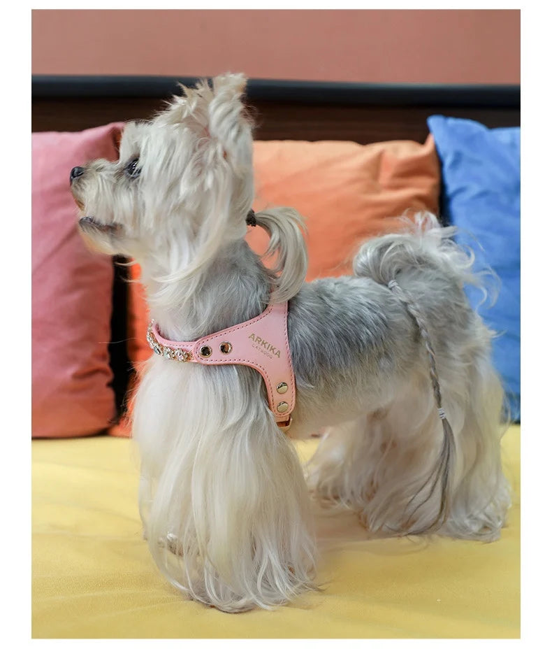 Arkika Dog Leash Small Dogs Chest Back Type Yorkie Teddy Pet out Walking Rope Non-Extensible Durable Pet Supplies