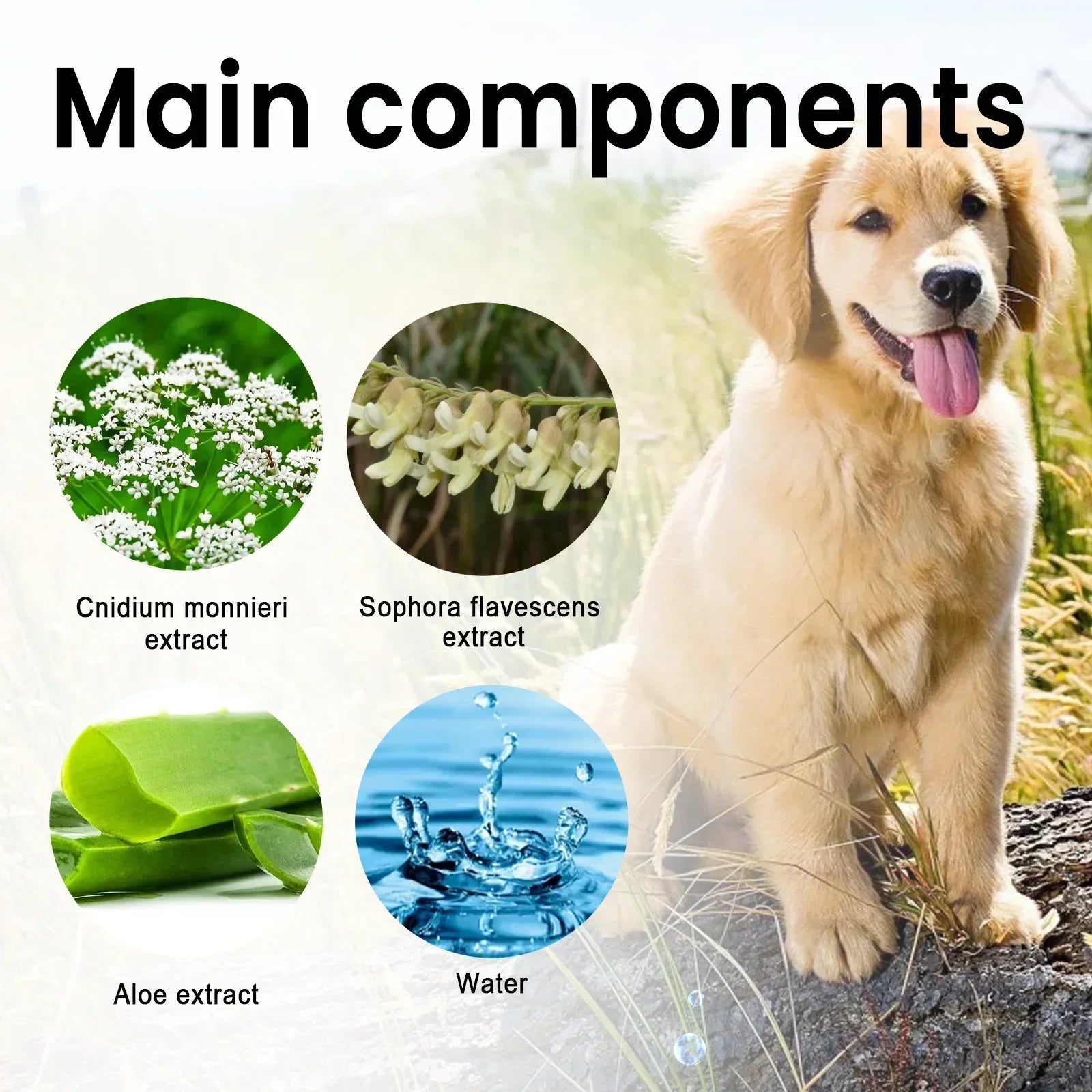 Dog Hair Loss Treatments Supplements for Dogs Cats Non-Toxic Safe Ingredient Use on Body Promotes Hair Growth