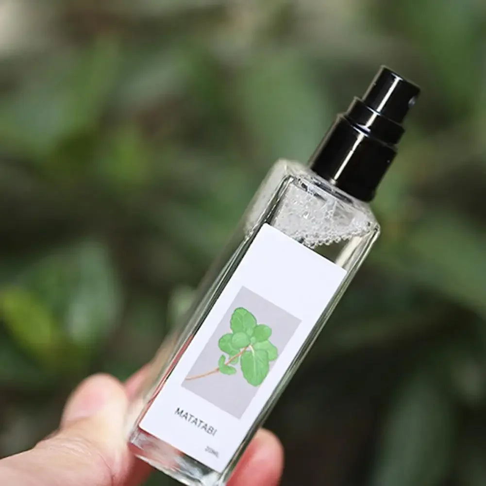 Cat Mint Calming Spray Anxiety Relief Increase Vitality Catnip Infused No Mess Pet Behavior Training Interactive Cat Toy for Cat