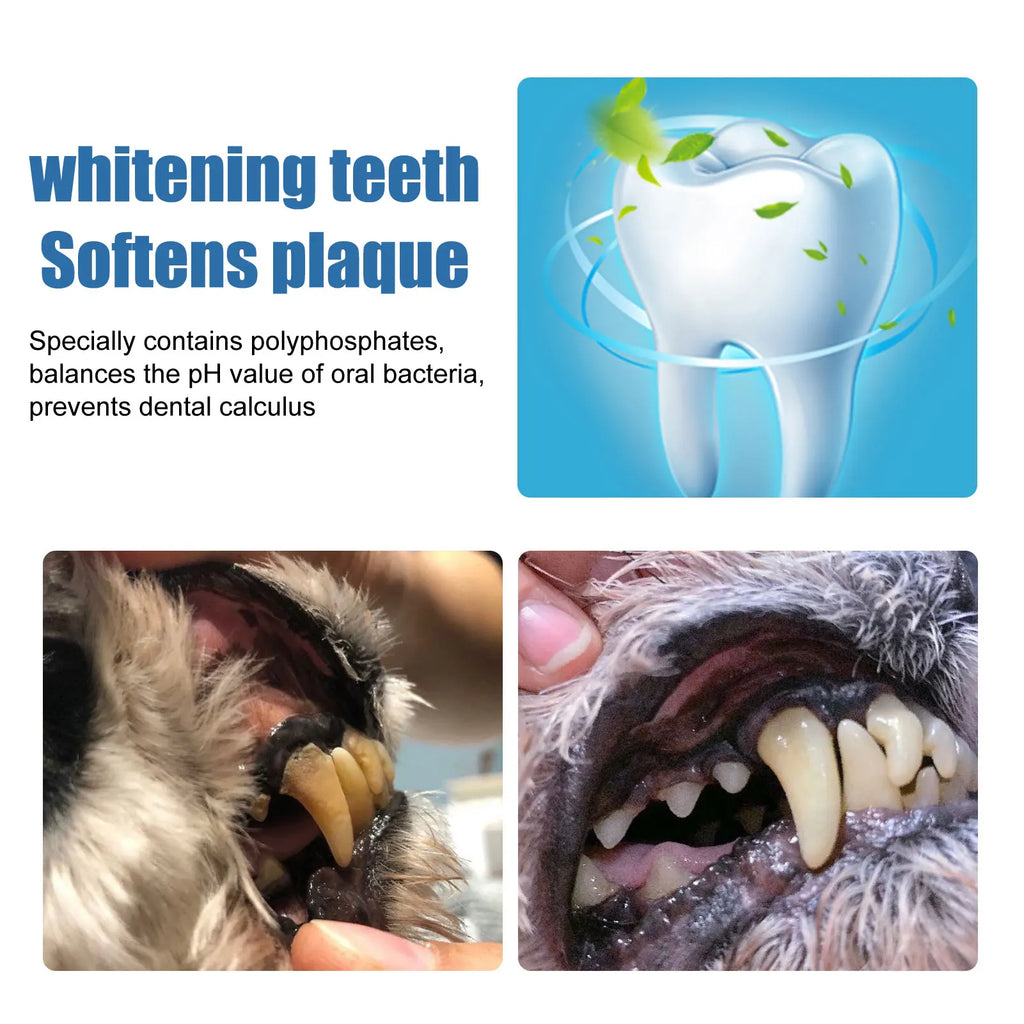 Dog Dental Care Foam Dog Oral Breath Freshener Keep Dog Breath Fresh And Teeth Clean Supports Gum Health Dog Dental Care.