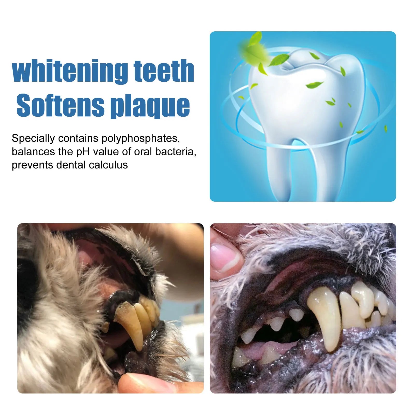 Dog Dental Care Foam Dog Oral Breath Freshener Keep Dog Breath Fresh And Teeth Clean Supports Gum Health Dog Dental Care.