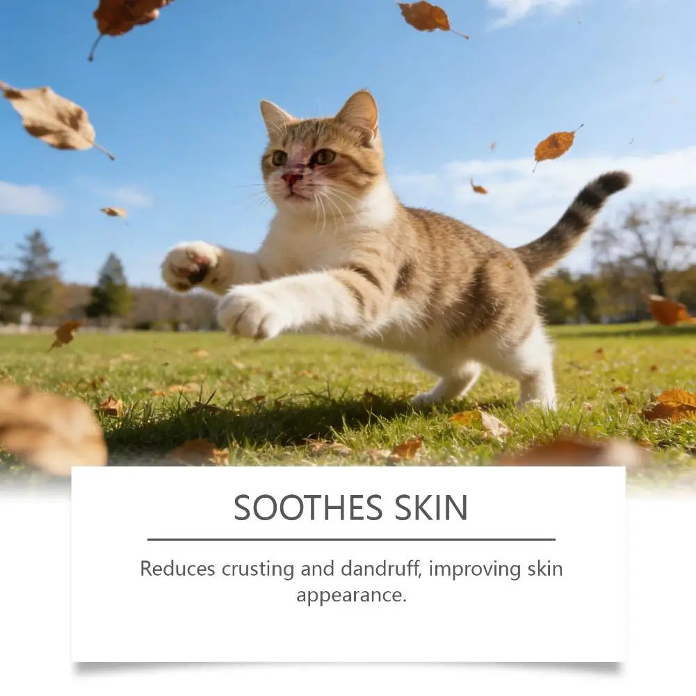 60 Tablets Cat Immunity Chewable Supplements For Skin Health Immune System Strengthening Adults Pet Nutritional Supplements