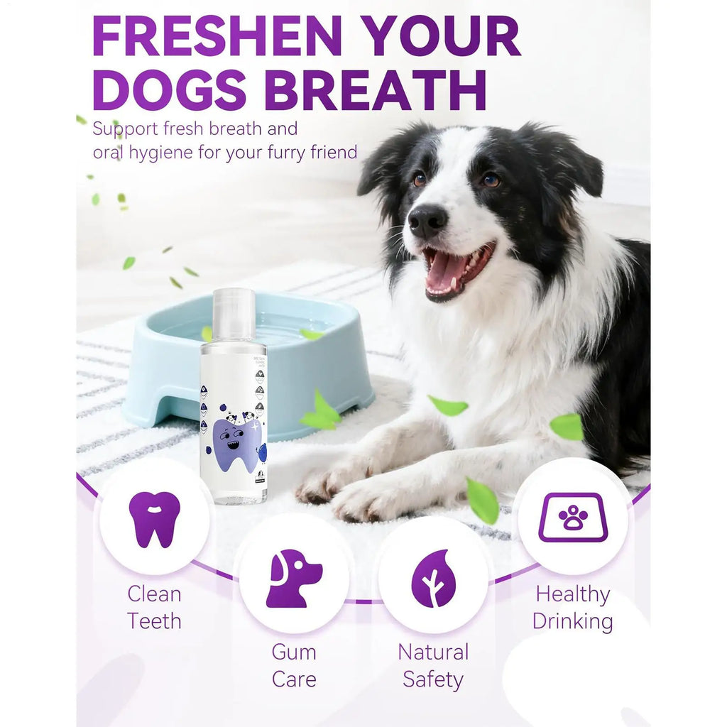 200ml Dog Water Additive For Teeth Care Natural Cat Breath Freshener Solution For Indoor Outdoor Travel Brushing Grooming Health