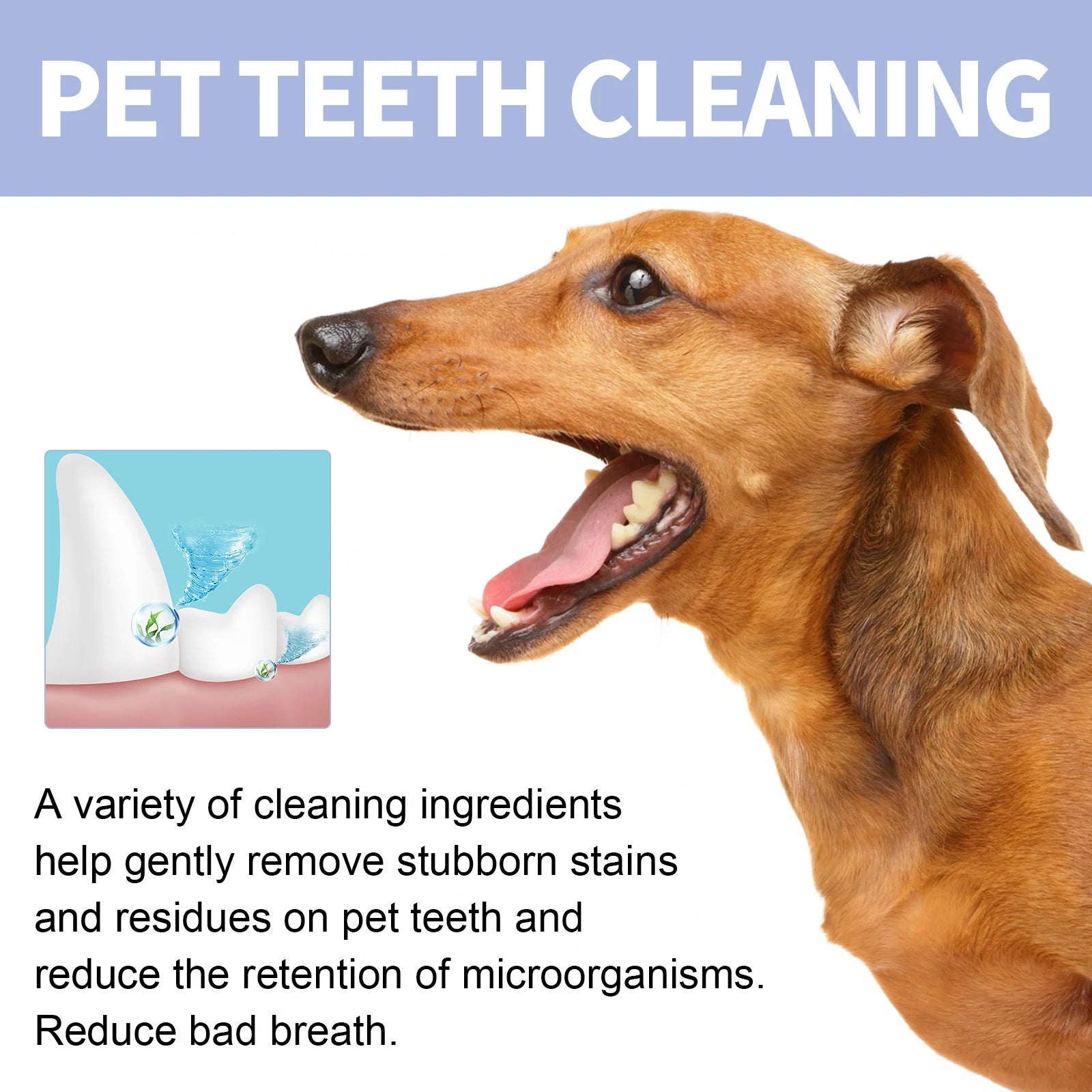 Pet Toothpaste For Cat Dog Fresh Breath Deep Cleaning Removing Stain Oral Plaque Prevent Teeth Calculus Cats Edible Toothpaste