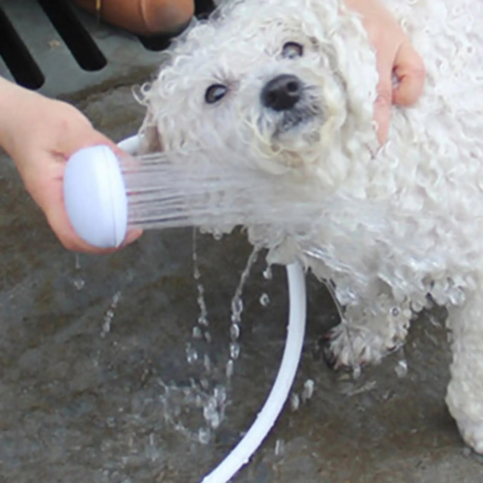 Pet Bathing Shower Dog Cat Multifunctional Shower Easy Bathing Garden Sprayer Pet Cleaning Grooming Tools Supplies