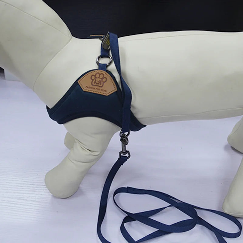 Pet dog walking harness and leash, suitable for puppies, small to medium dogs, ideal choice for training, travel, and daily wear