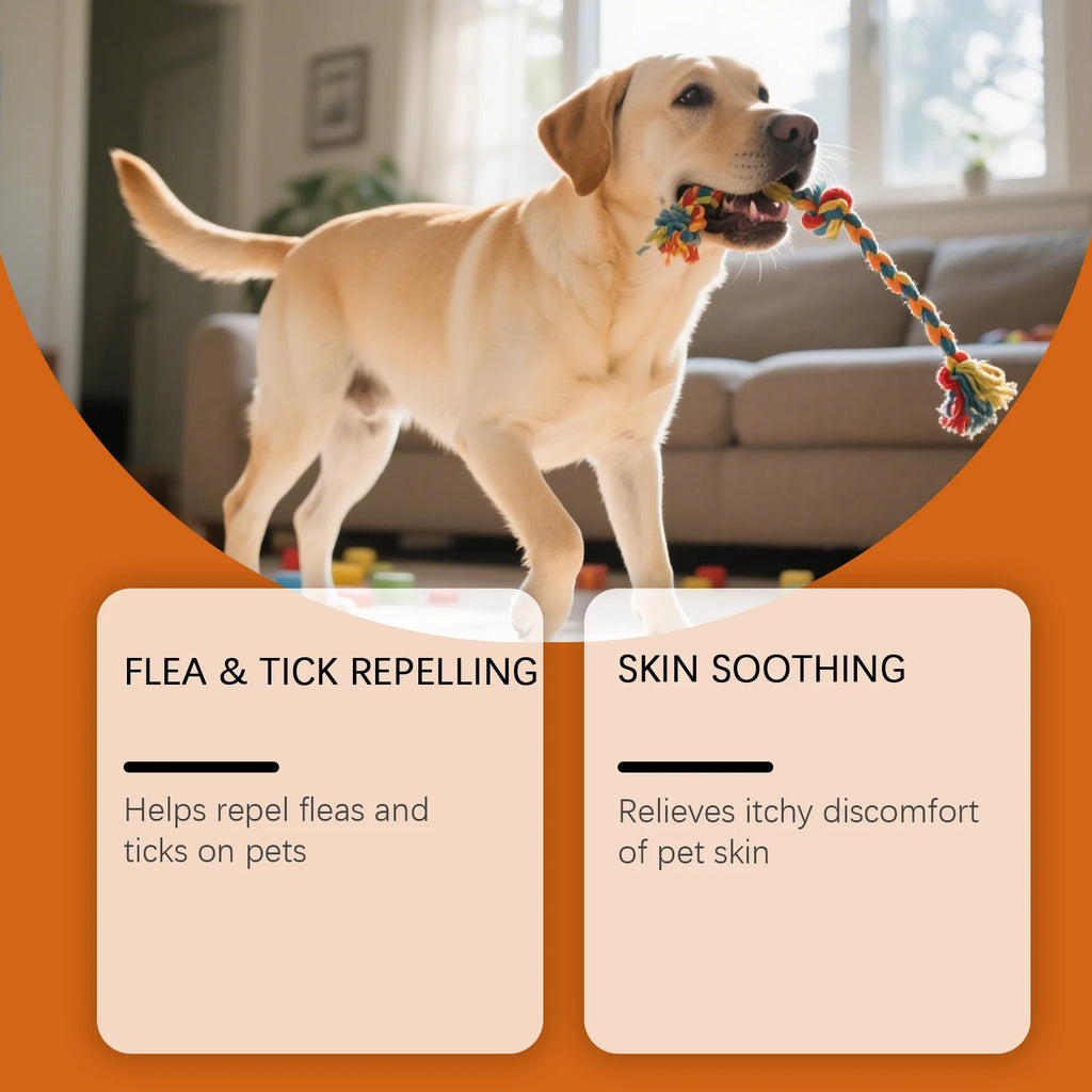Flea Tick Shampoo for Dogs Cats Moisturizing Eliminate Fleas Ticks Relieve Itching Sooth Skin Long Lasting Pet Grooming Shampoo