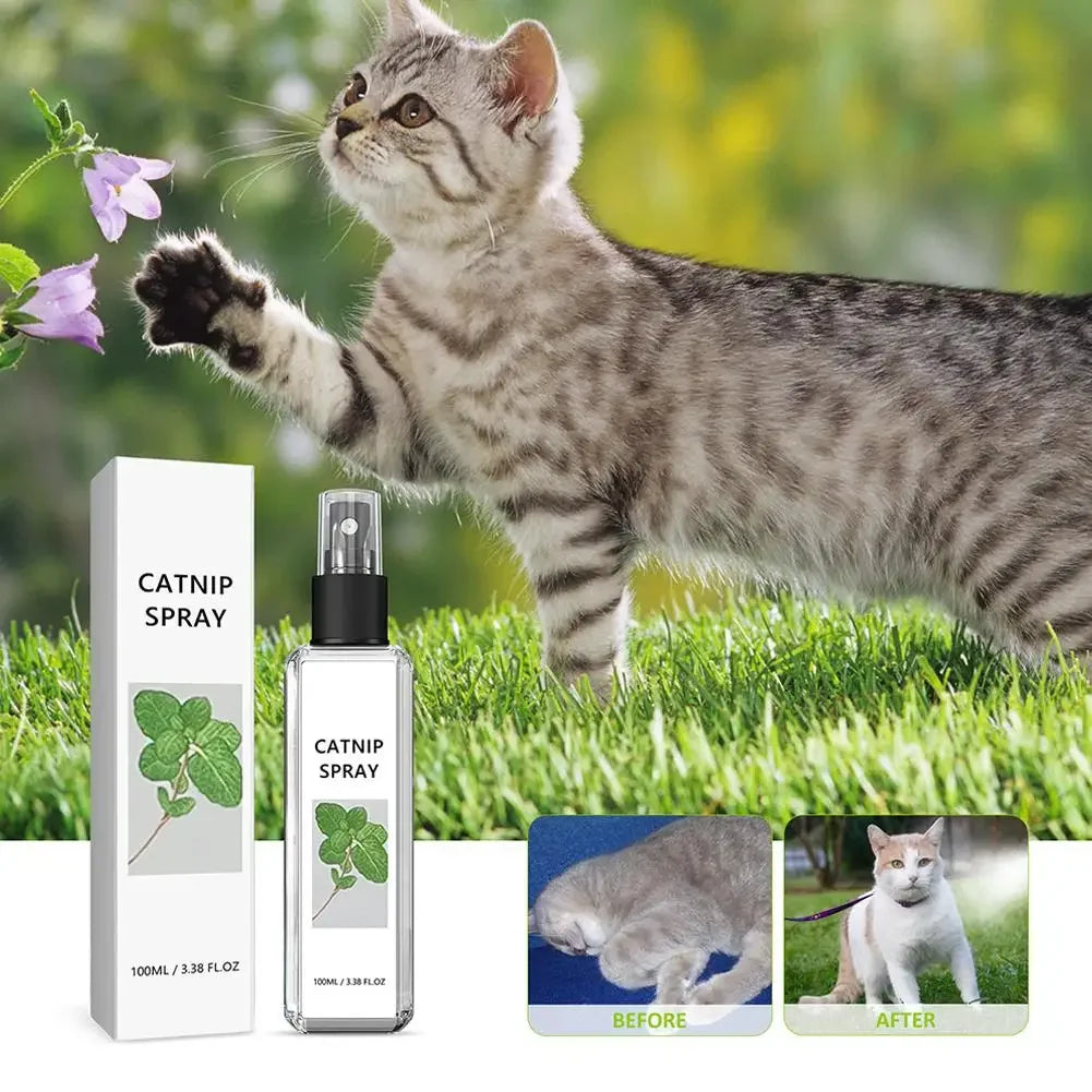 Cat Mint Calming Spray Anxiety Relief Increase Vitality Catnip Infused No Mess Pet Behavior Training Interactive Cat Toy for Cat