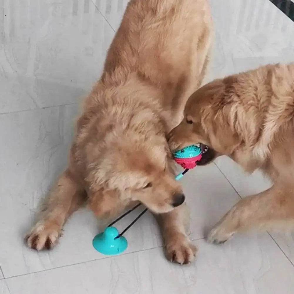 Dog Chew Toys for Aggressive Chewers Interactive Dog Suction Cup Toy Teething Rope Toy Dog Puzzle Treat Food Dispensing Ball Toy
