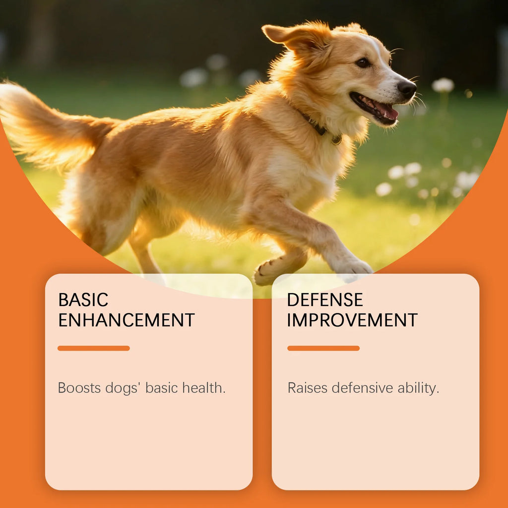 Dog Herbal Drops for Skin & Coat Health – Yeast Infection Relief, Itching & Redness Soother, Immune Support Supplement 60ml