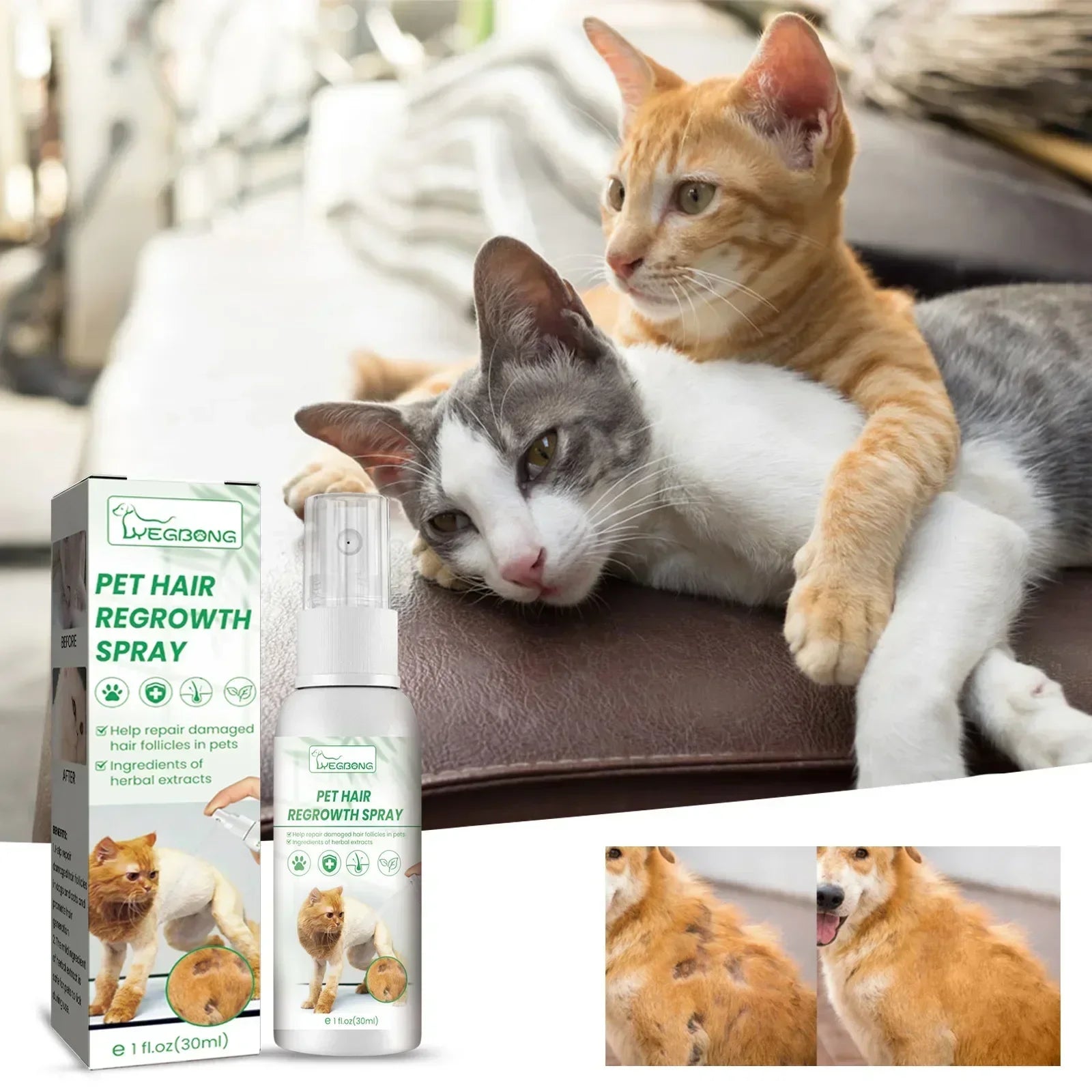 Dog Hair Loss Treatments Supplements for Dogs Cats Non-Toxic Safe Ingredient Use on Body Promotes Hair Growth