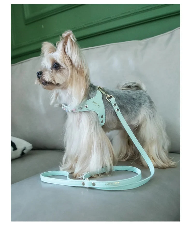 Arkika Dog Leash Small Dogs Chest Back Type Yorkie Teddy Pet out Walking Rope Non-Extensible Durable Pet Supplies