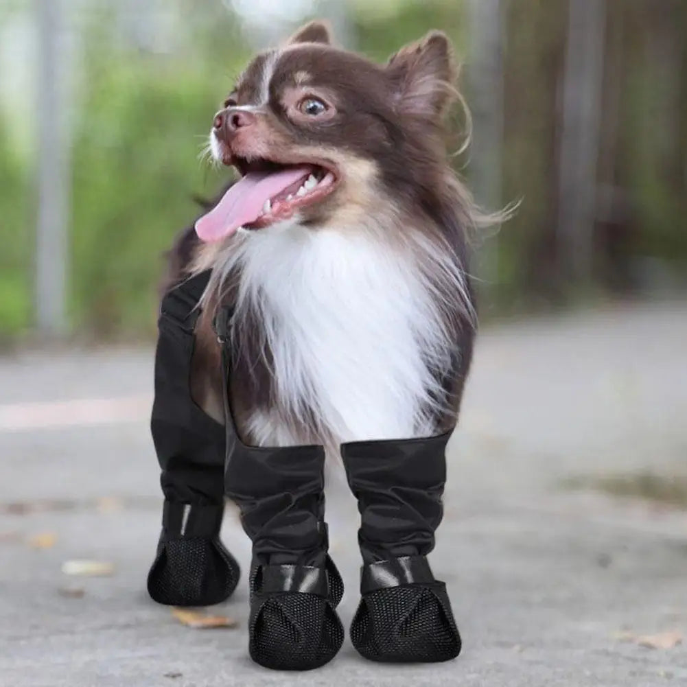 Best Anti-Slip Dog Shoes Pet Paw Protector Dog Rain Outdoor & Suspender Dog Dog Dirty-proof Shoes Anti-fall Booties, Sock S7G9