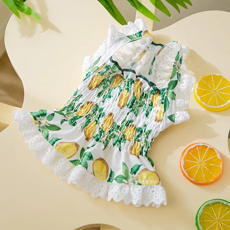Dog Clothes Small Dogs Summer Puppy Dress Cat Print Skirt Bichon Chihuahua Black White Breathable Dresses Pet Clothing for Dogs