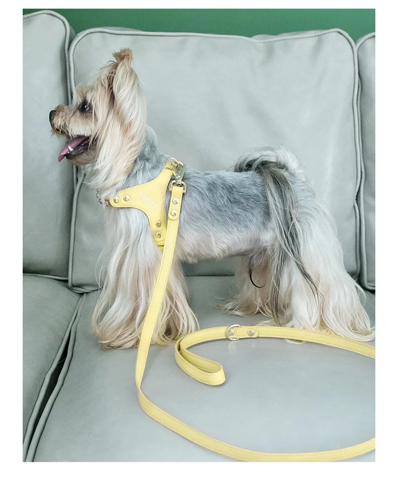 Arkika Dog Leash Small Dogs Chest Back Type Yorkie Teddy Pet out Walking Rope Non-Extensible Durable Pet Supplies