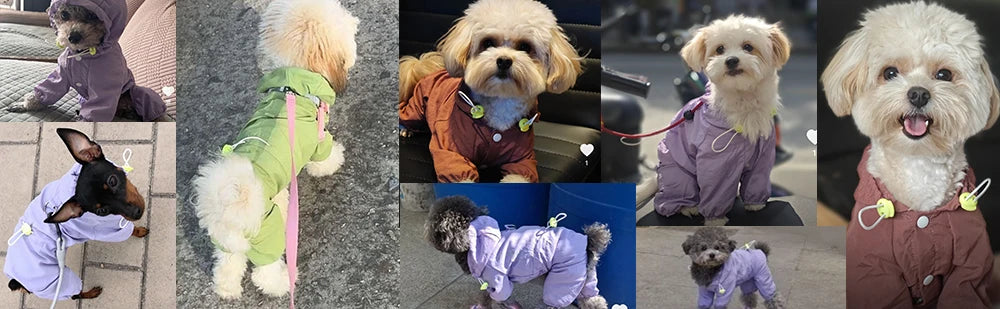 Dog Clothes Jacket  Series Windproof Raincoat Waterproof Dog Outdoor Jumpsuit  lightweight Puppy Costumes
