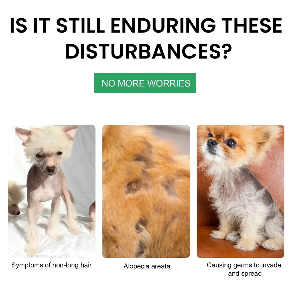 Dog Hair Loss Treatments Supplements for Dogs Cats Non-Toxic Safe Ingredient Use on Body Promotes Hair Growth