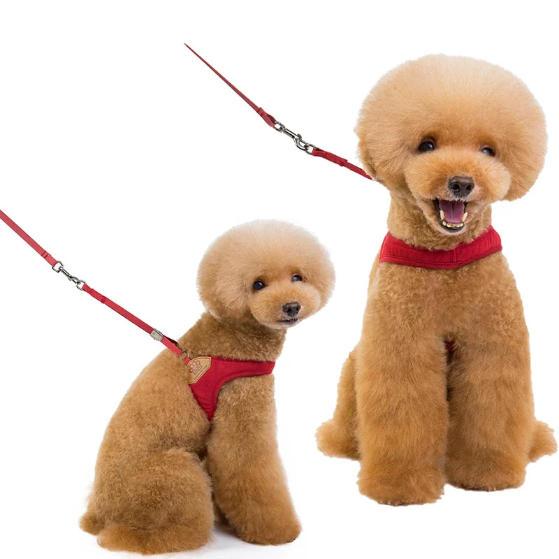 Pet dog walking harness and leash, suitable for puppies, small to medium dogs, ideal choice for training, travel, and daily wear