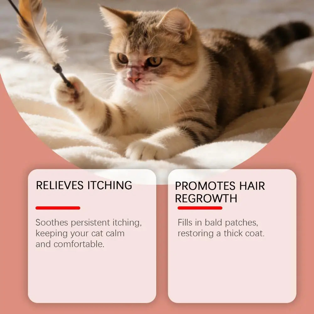 60 Tablets Cat Immunity Chewable Supplements For Skin Health Immune System Strengthening Adults Pet Nutritional Supplements