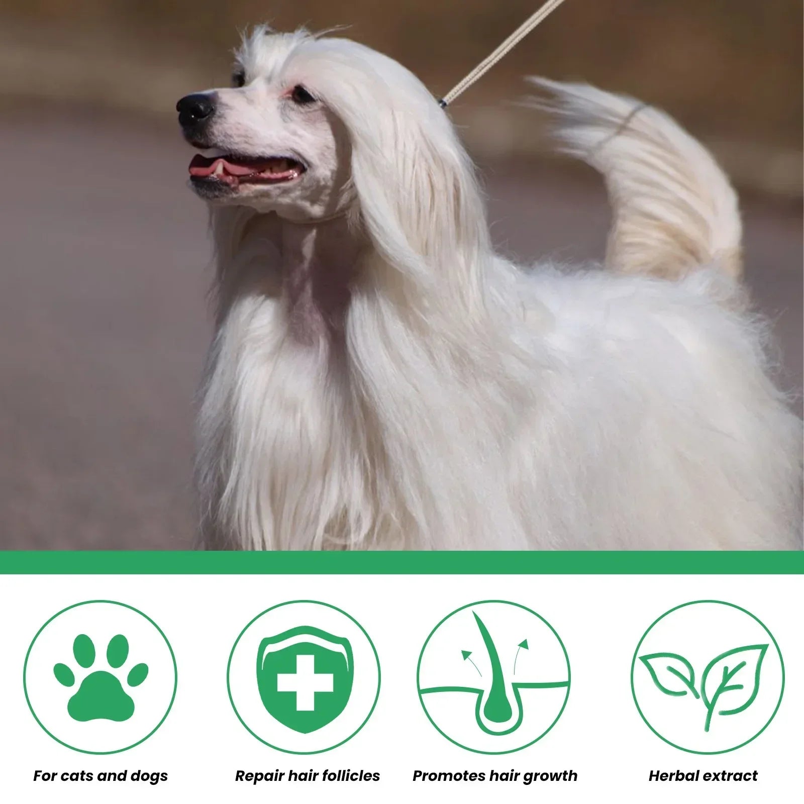 Dog Hair Loss Treatments Supplements for Dogs Cats Non-Toxic Safe Ingredient Use on Body Promotes Hair Growth
