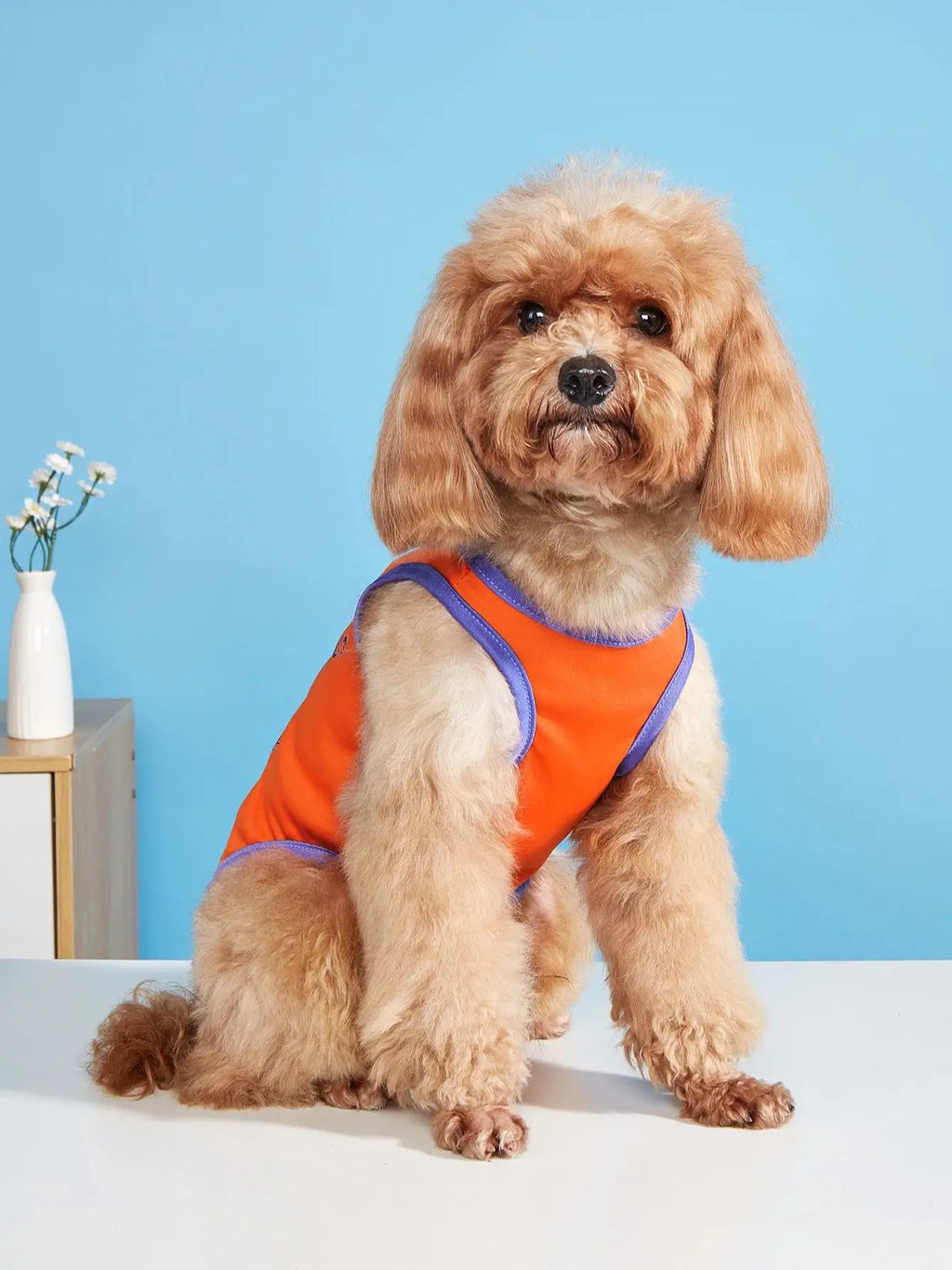 Pet clothes: dog and cat vest Light, breathable, comfortable, simple, generous, fresh and cute, suitable for all seasons